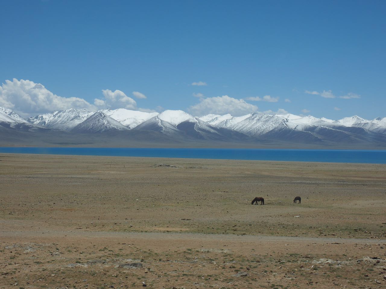 Tibet